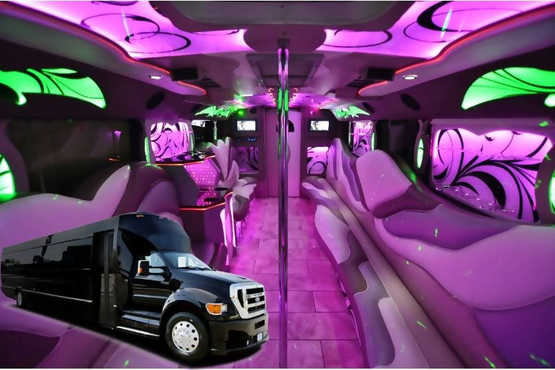 28 Passenger Exotic Party Bus